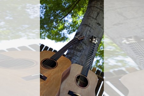 GrownUpGuitarist_SeedsofGuitar